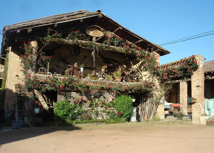Yourte Traditionnelle Mongole Marcoux (Loire)
