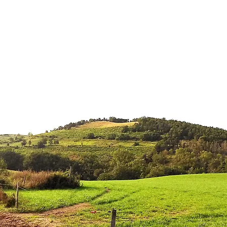 Yourte Traditionnelle Mongole Luksustelt Marcoux (Loire)