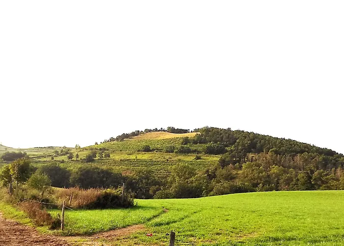 Yourte Traditionnelle Mongole Οργανωμένο κάμπινγκ Marcoux (Loire)